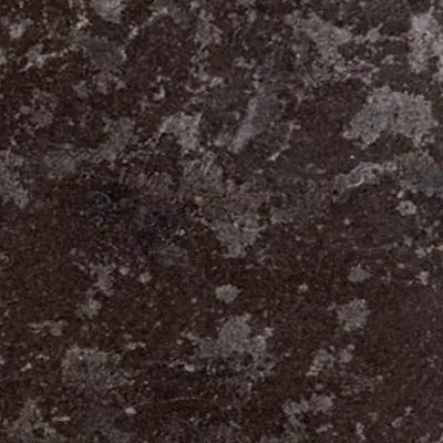 Angola Black