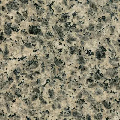 Leopard Skin