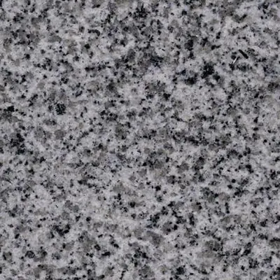 Zhangpu Sesame White G603