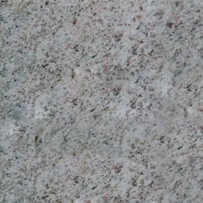 India Coral Purple
