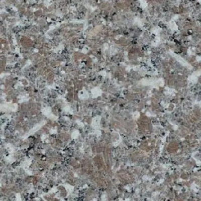 Sesame Grey G648 (White Base)