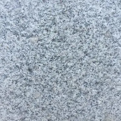 Shandong Sesame White